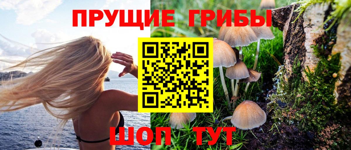 Псилоцибиновые грибы MAGIC MUSHROOMS Советский